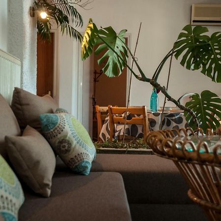 Paradise View Apartment Palaiontsiflikion Luaran gambar